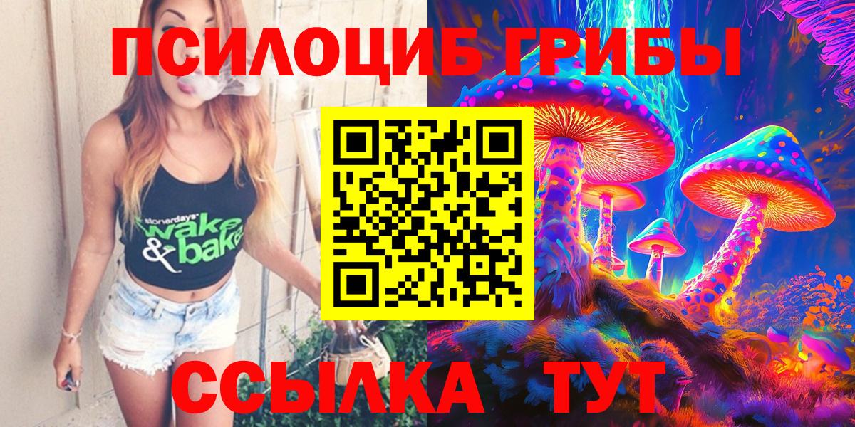 Галлюциногенные грибы Psilocybe Вичуга