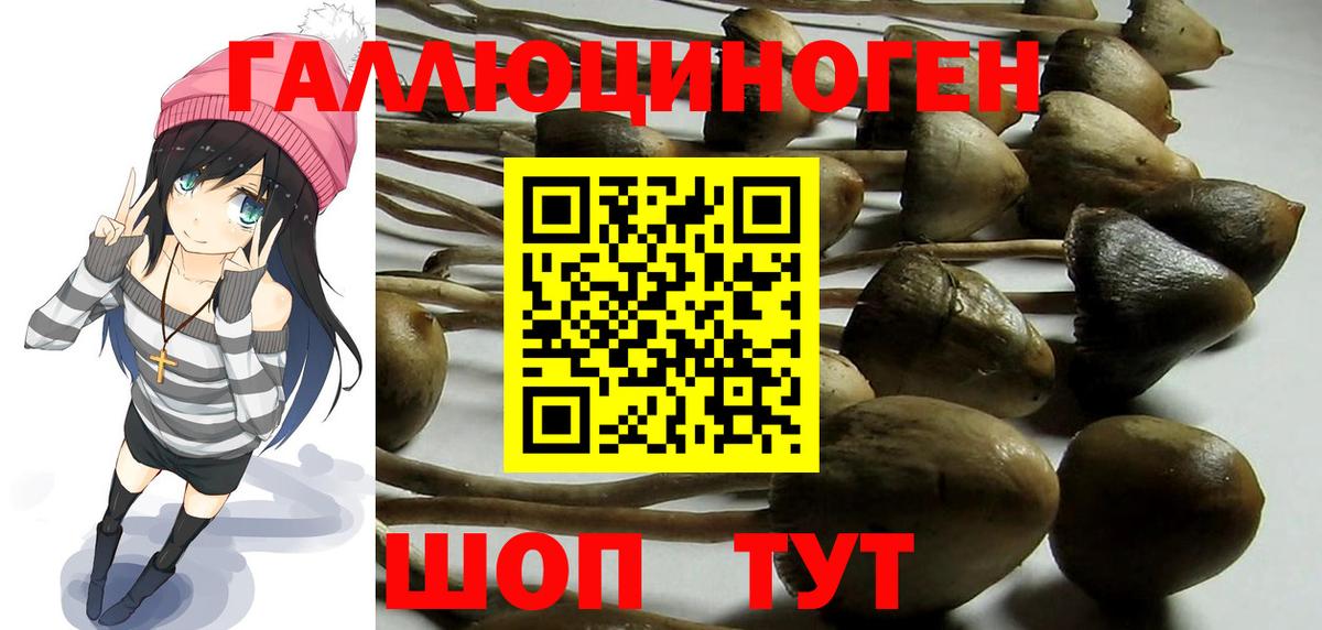 Галлюциногенные грибы мухоморы  Вход с VPN  Галлюциногенные грибы мухоморы  Вичуга 